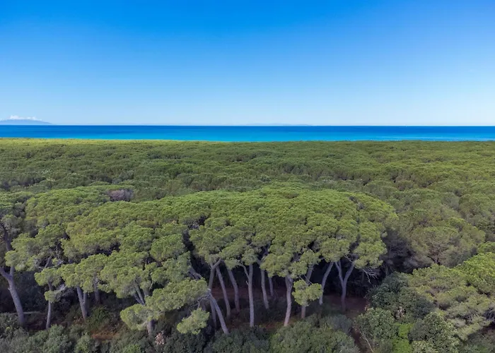 Apartamento Piccolo Leccio By Interhome